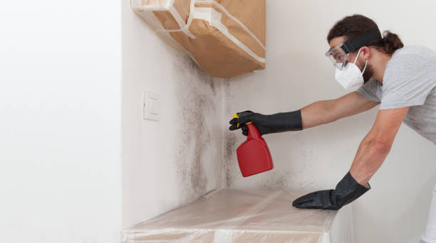 Attic Mold Remediation treatment on roof deck in Curwensville